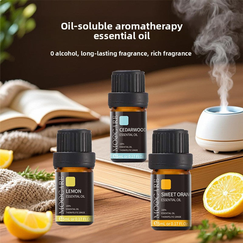 Aromatherapy Essential Oil – 5ml