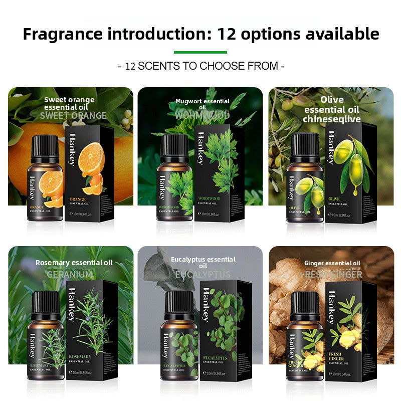 Plant-Based Essential Oil for Diffuser